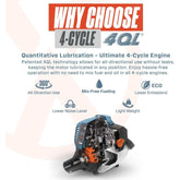 Senix - 4QL® 26.5cc 4-Stroke Petrol Hedge Trimmer | HT4QL-L-EU